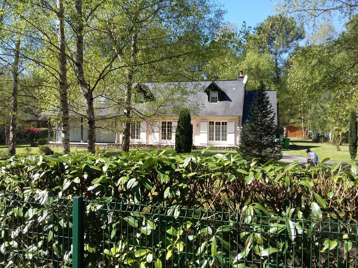 B&B La Foret De Charmeuse Ruaudin Exteriör bild